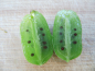 Preview: Actinidia arguta "Issai" -  Mini-Kiwi / selbstfruchtbar