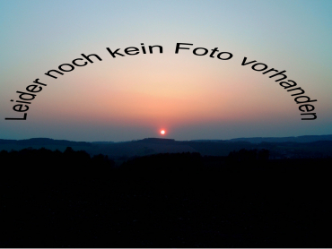 Morus alba "Nana Issai" - Weiße Maulbeere